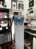 B Grade- Blue Pansy