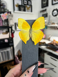 B Grade Yellow Sulphur