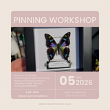 Pinning Workshop - Sep 5th