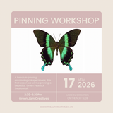 Pinning Workshop - May 17th