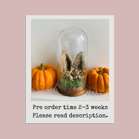 Fox & Bunny Ear Domes
