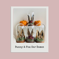 Fox & Bunny Ear Domes