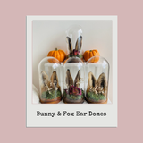 Fox & Bunny Ear Domes