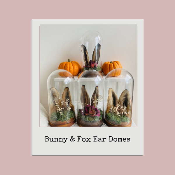 Fox & Bunny Ear Domes