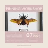Pinning Workshop - March 15th