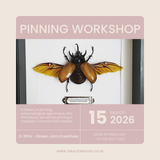Pinning Workshop - March 15th
