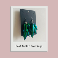 Real Jewel Beetle Wing Earrings