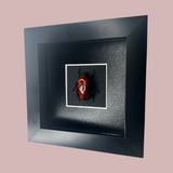 Red Flower Scarab