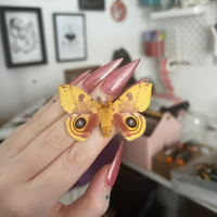 Io Moth