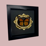 Ornate Framed Monarch