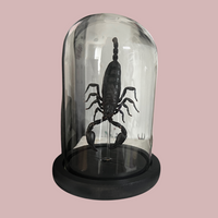 Scorpion Dome