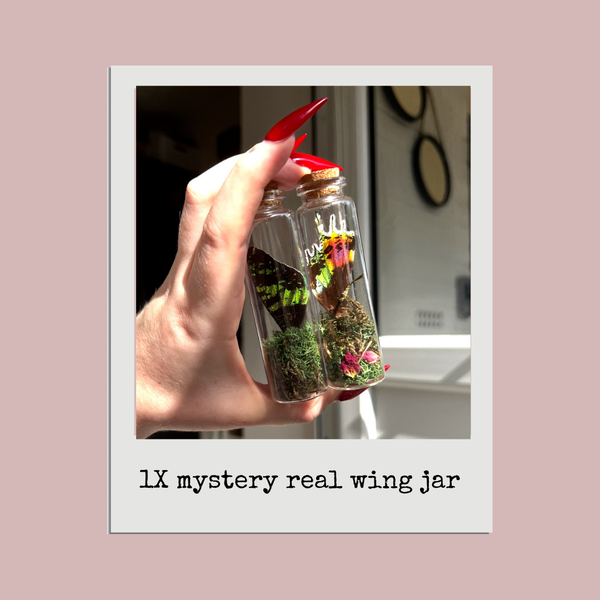 Mystery Wing Jar