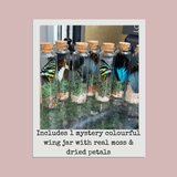 Mystery Wing Jar