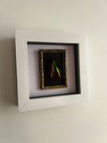 Mini museum framed jewel beetle